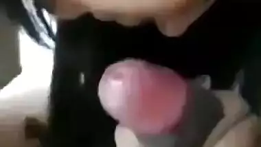 Punjabi caressing sex video