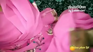 Indian Anita bhabi ki pink saree me chudai Indian sex video